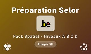 Raisonnement spatial Travaillerpour.be - Pliages 3D