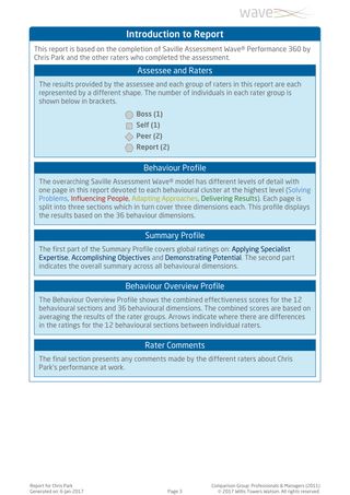 Saville Wave Performance 360 - Exemple de rapport page 3