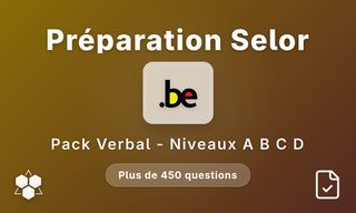 Raisonnement verbal Travaillerpour.be - Niveaux A à D