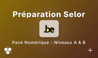 Test de raisonnement numérique Travaillerpour.be - Niveaux A et B