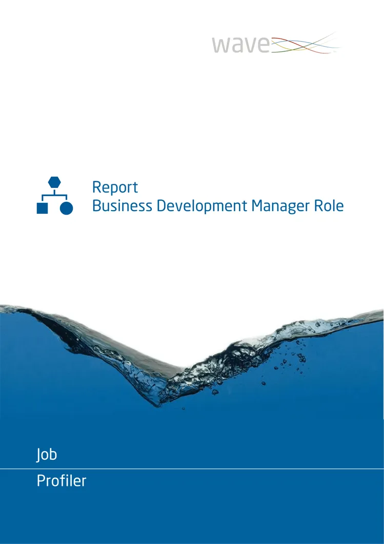 Saville Assessment WAVE Job Profiler Exemple de Rapport