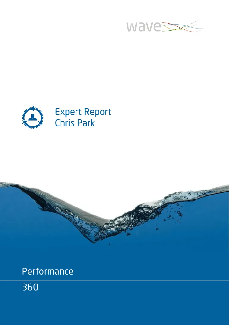 Saville Assessment WAVE Performance 360 Expert Report