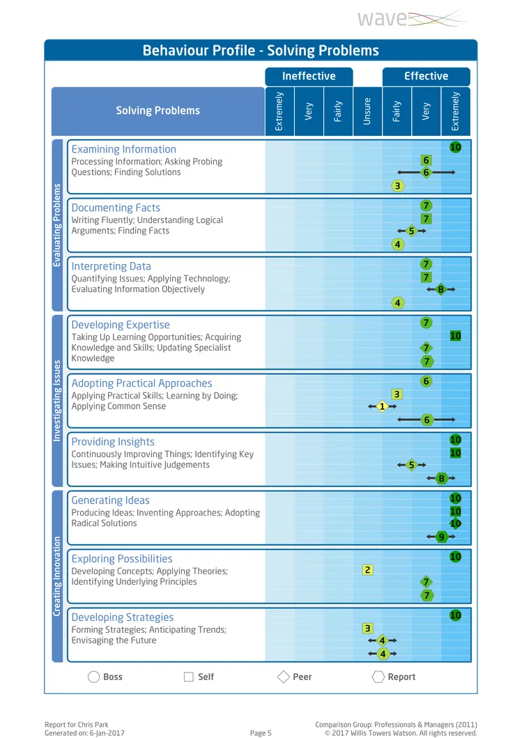 Saville Assessment WAVE Performance 360 Expert Report