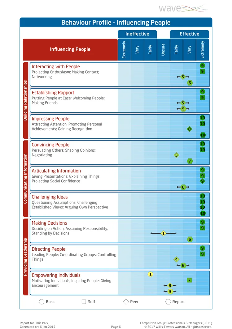 Saville Assessment WAVE Performance 360 Expert Report