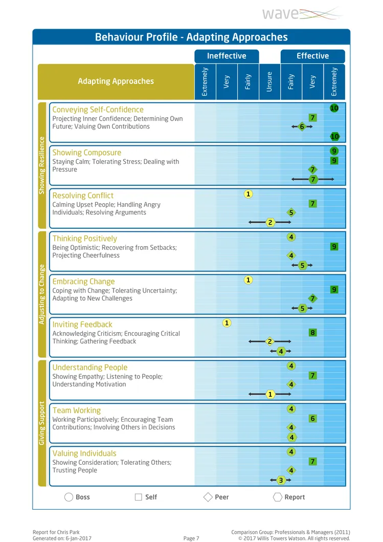 Saville Assessment WAVE Performance 360 Expert Report