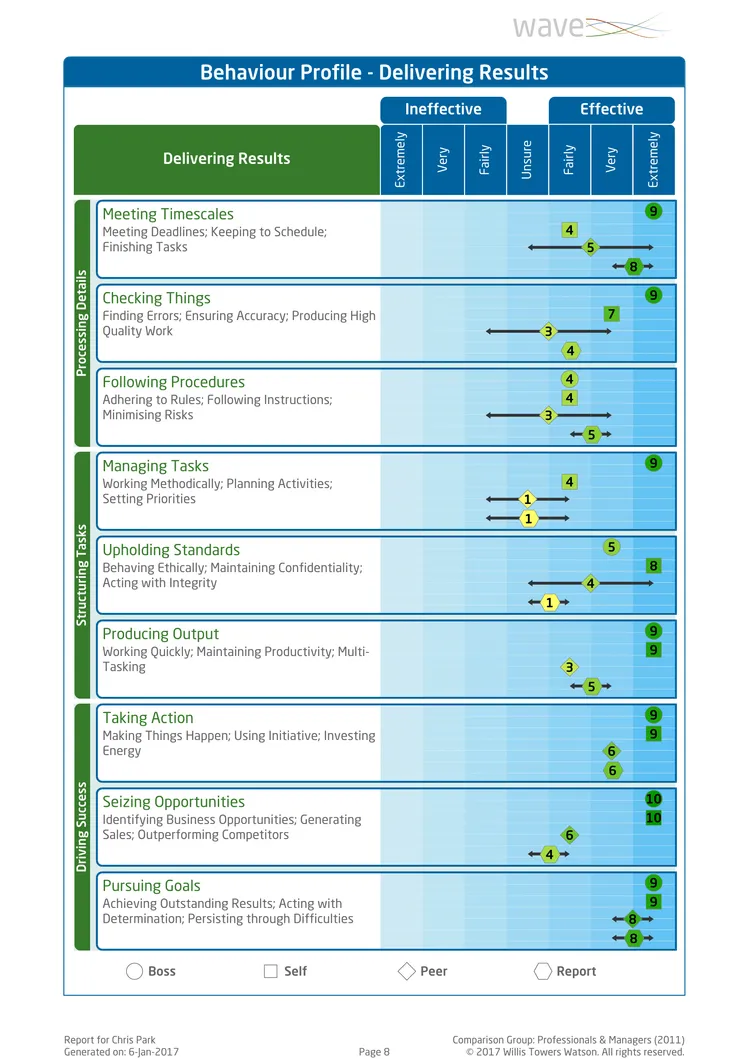 Saville Assessment WAVE Performance 360 Expert Report