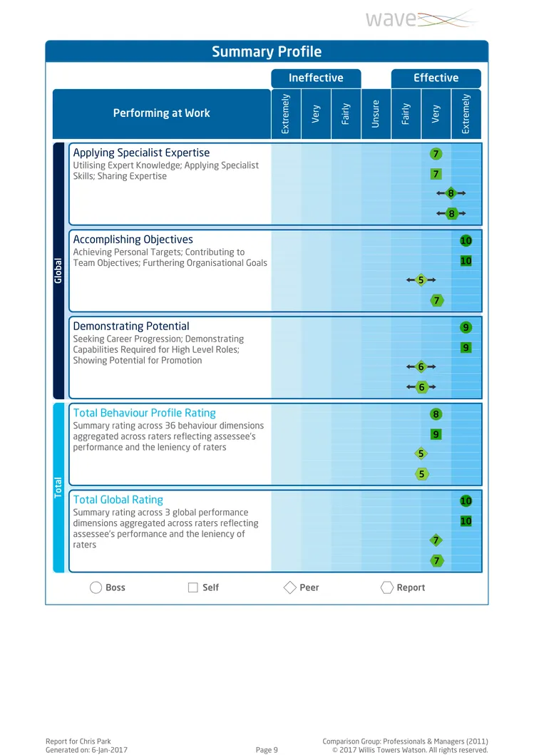 Saville Assessment WAVE Performance 360 Expert Report
